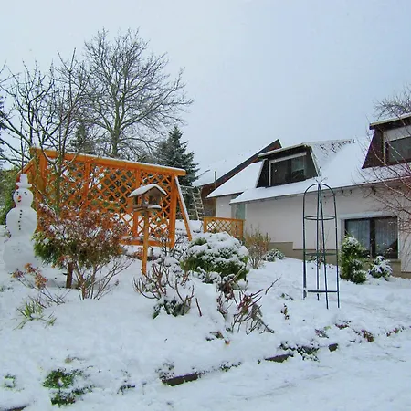Near Forest In Fischbach Emsetal