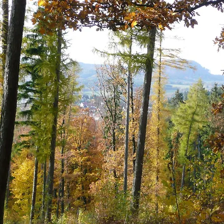 Near Forest In Fischbach Emsetal