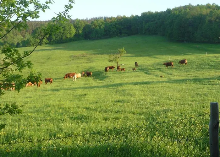 Getaway With Private Terrace *