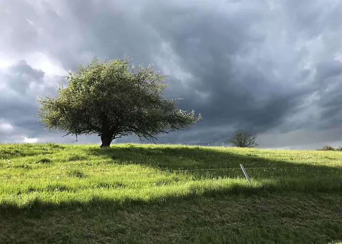 Semesterbostad Getaway With Private Terrace Emsetal