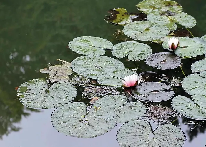 Getaway With Private Terrace * Emsetal