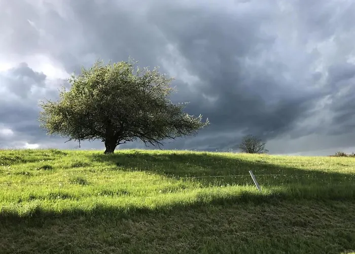 Getaway With Private Terrace Semesterbostad